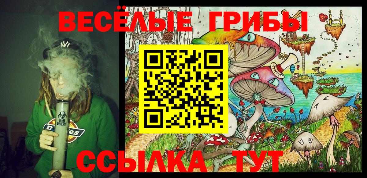 Псилоцибиновые грибы Psilocybine cubensis Ленинск-Кузнецкий