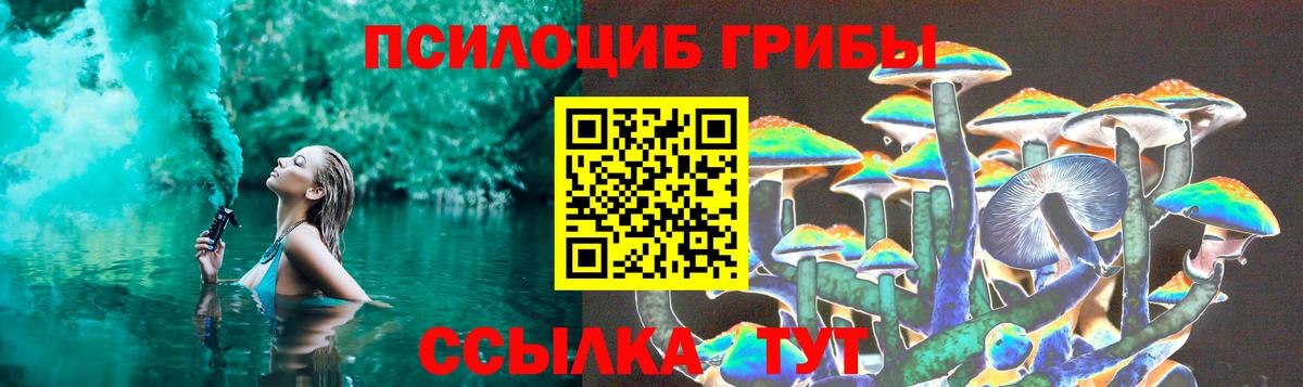 Галлюциногенные грибы Psilocybe  Псилоцибиновые грибы GOLDEN TEACHER  Ленинск-Кузнецкий  Вход с VPN 